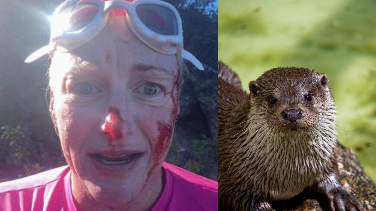 Woman Says Otter Pulled Her Underwater During Swim at Lake Tahoe, Leaving Her With 40 Stitches