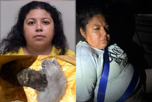 Florida Woman Faces Felony Animal Cruelty Charges After Allegedly Burying 4 Kittens Alive: ‘She Didn’t Want Black Or Brown Cats In Her Home, Believing They Were Demons’