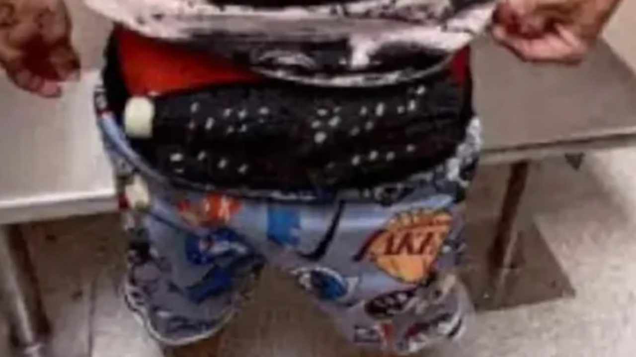 Man Arrested for Smuggling Birds in Underwear at Miami Airport