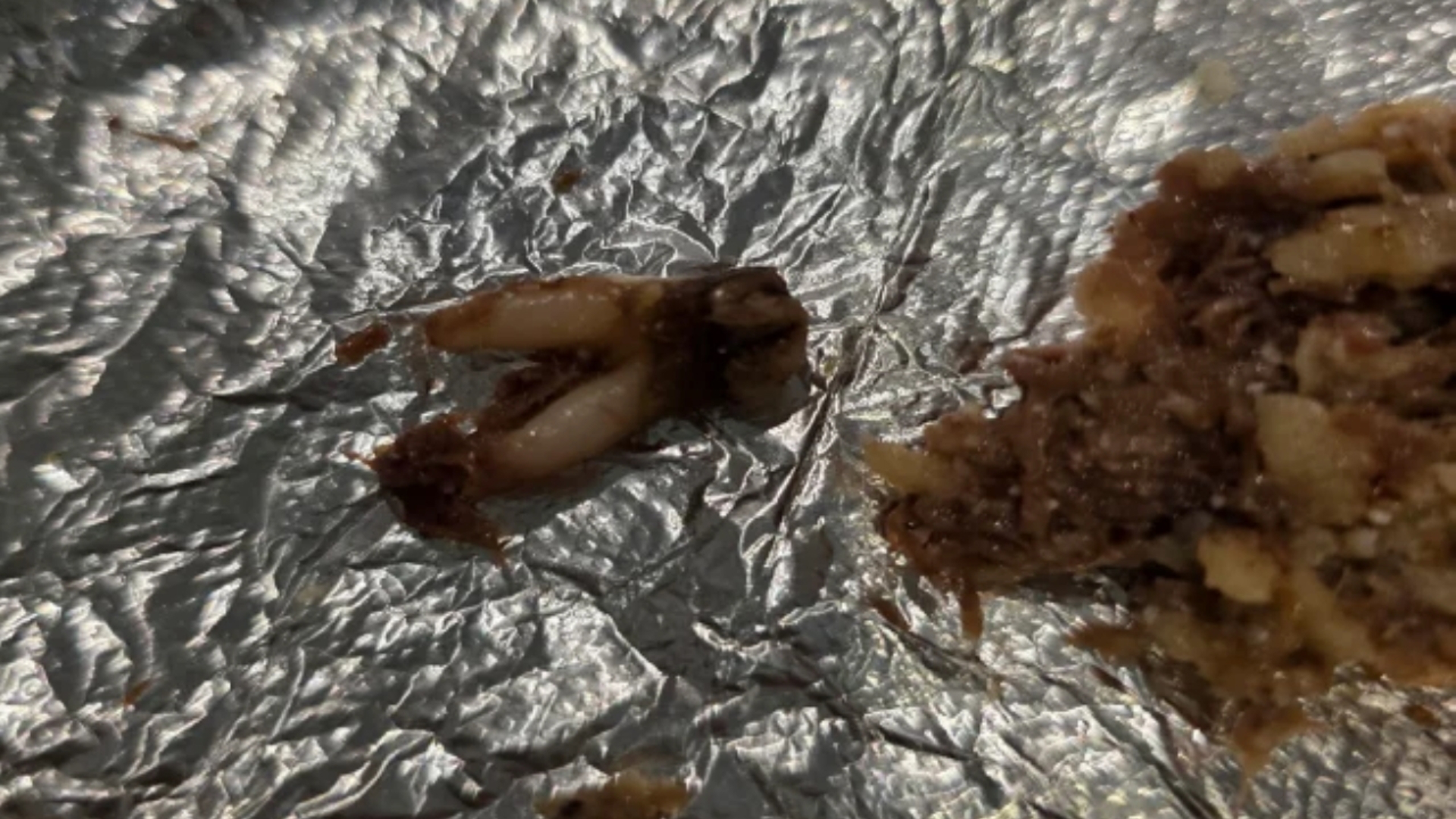 Texas Restaurant Sued After Customer Allegedly Finds Cow Tooth in Taco